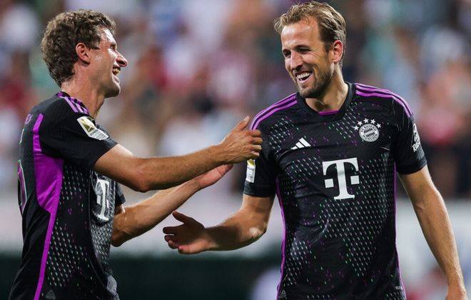 引发了不少 引发了不少