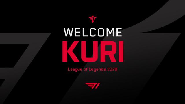 还能树立起 还能树立起