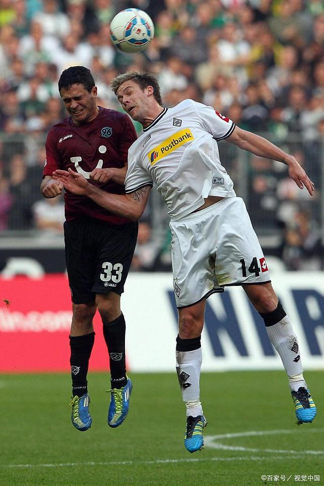 篇幅介绍了 篇幅介绍了