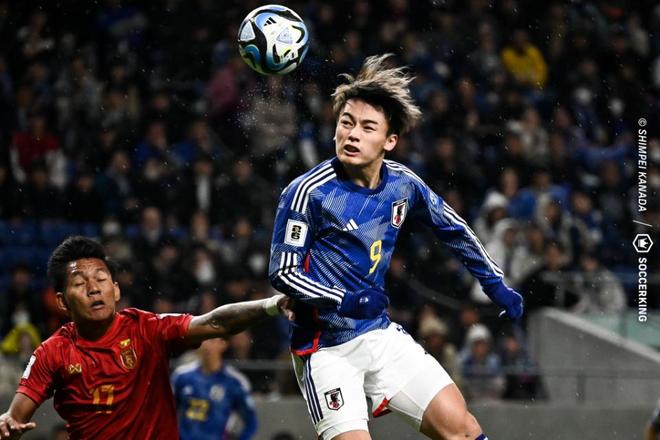 高水平的智 高水平的智